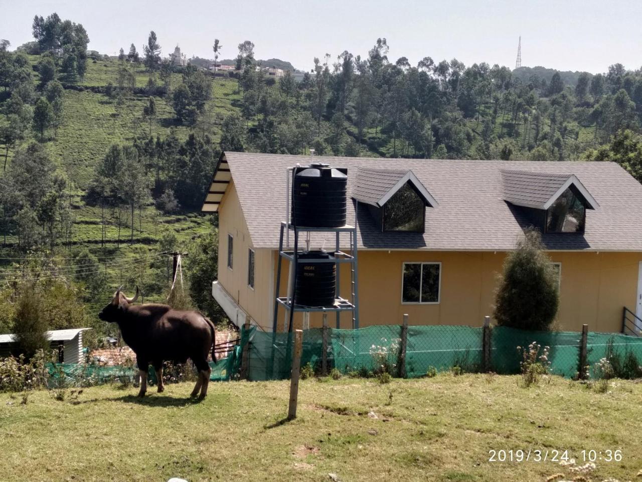 Myspace Holiday Inn Ooty Exterior photo